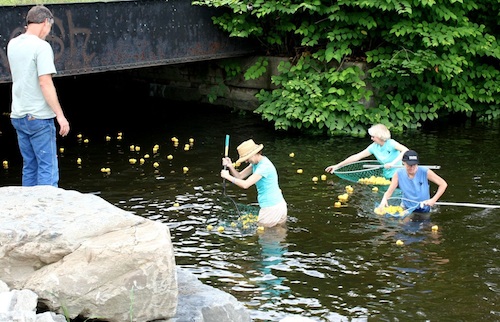duck race